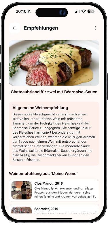 Food Pairing Screenshot